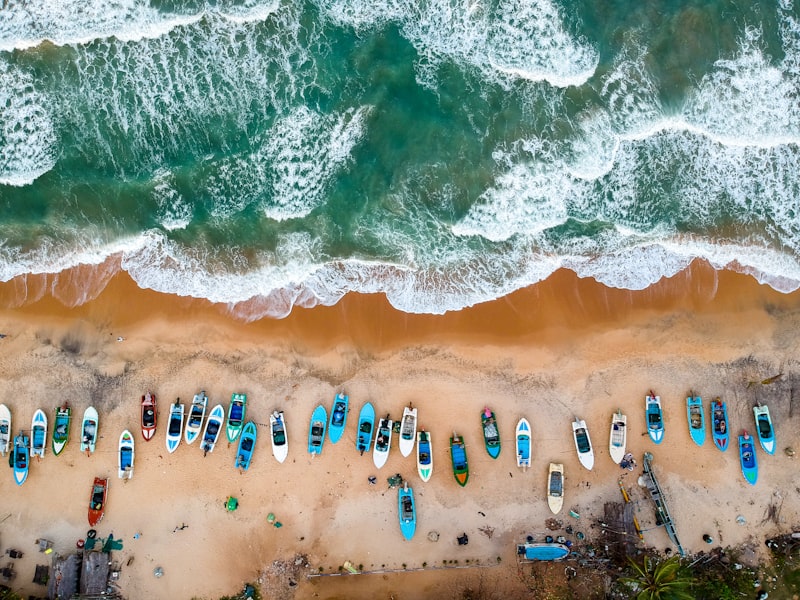 The crescent-shaped Arugam Bay beach lined with palm trees and small surf shacks