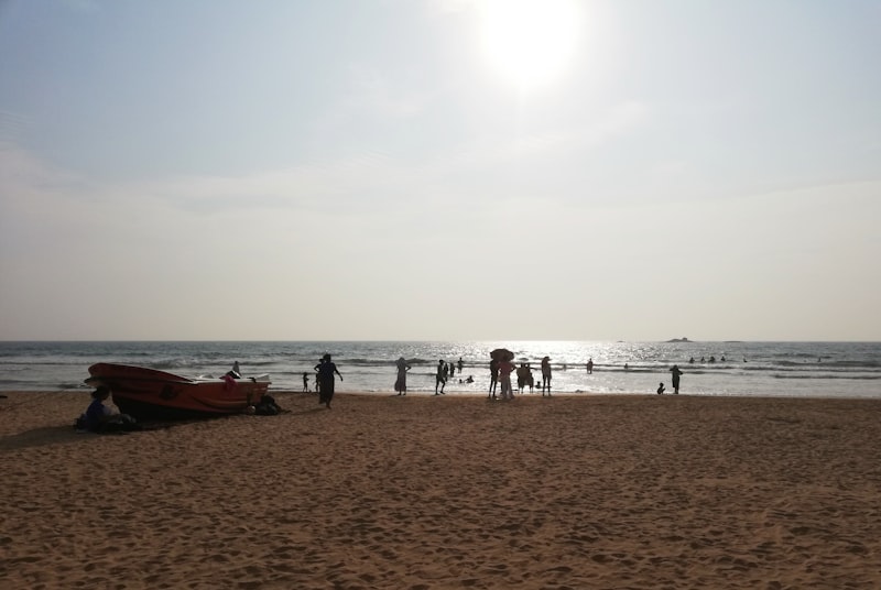 Baby sea turtles being released at Kosgoda Turtle Hatchery near Bentota