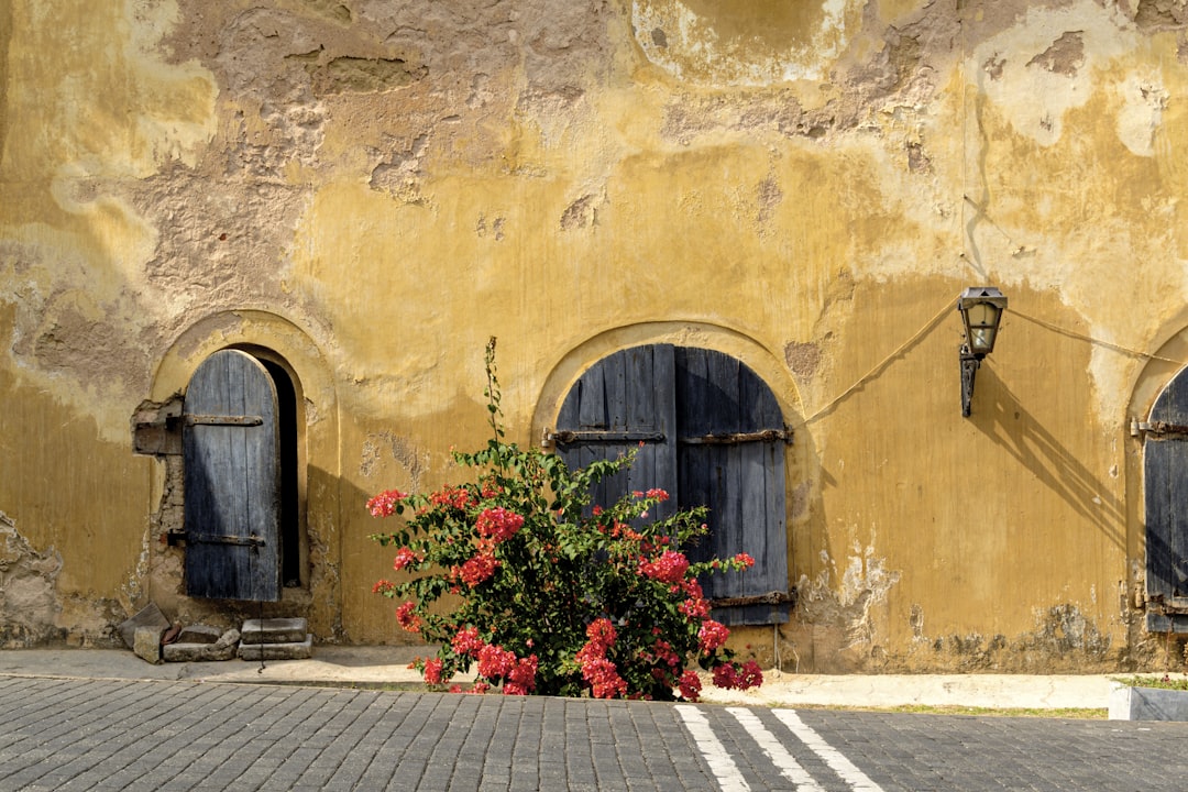 Historic Dutch colonial yellow wall with arched blue shutters and bougainvillea