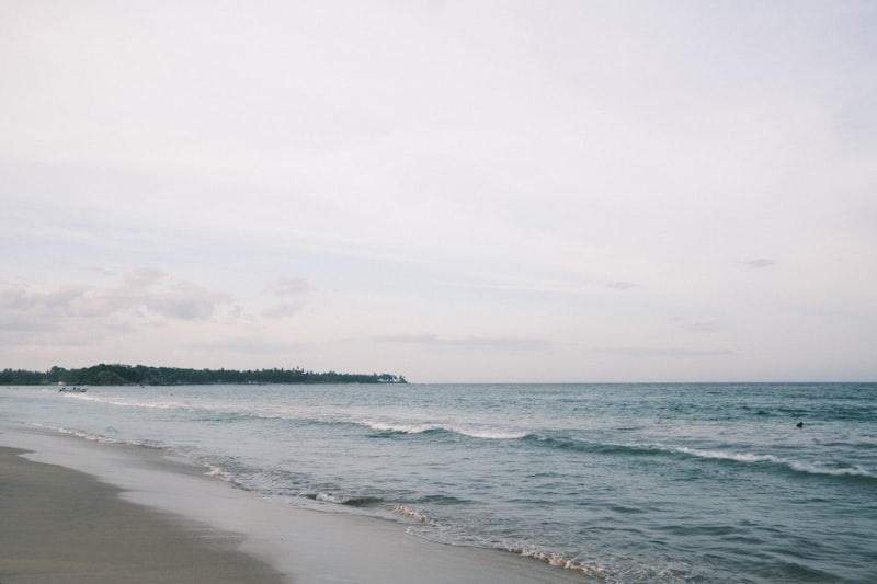 A blue whale surfacing near Trincomalee with its blowhole visible